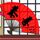 谍影重重